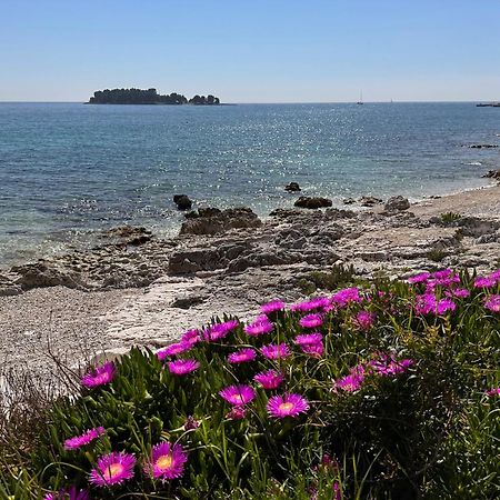 Villa Anthony Rovinj Exterior photo