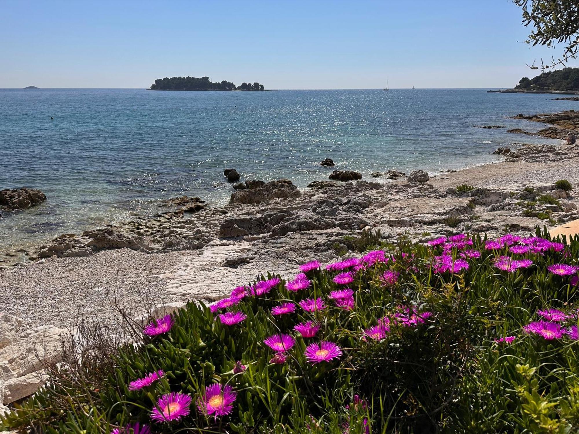 Villa Anthony Rovinj Exterior photo